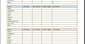 Daily Food Diary Chart Template