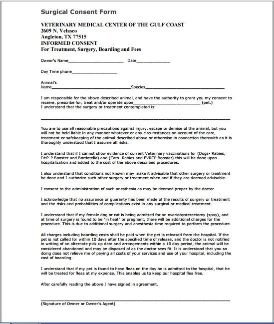 Oral Surgery Consent Form 97