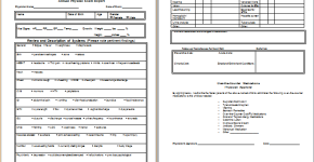 physical examination report form