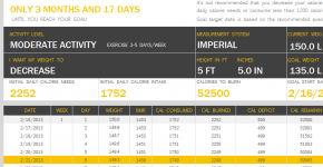 Calorie amortization schedule