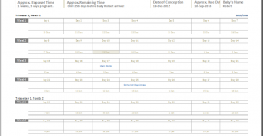 Pregnancy calendar template