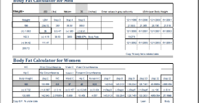 body fat percentage calculator template