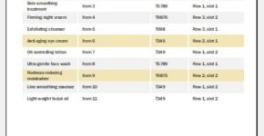 Skincare products inventory template