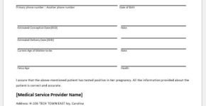 Pregnancy verification form