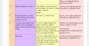 Pregnancy calendar template