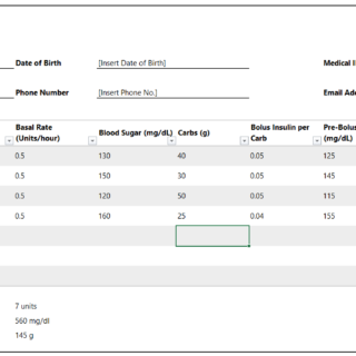 Insulin Pump Log Template