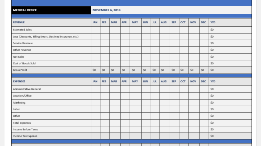 Healthcare profit and loss sheet template