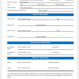 Hospital birth certificate template