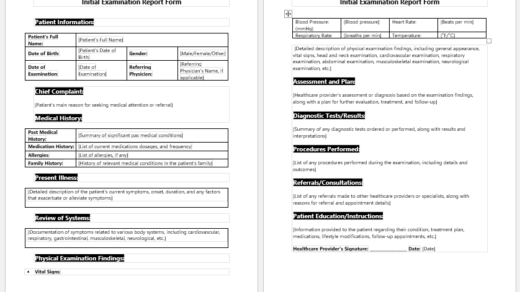 Initial Examination Report Form