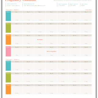 Pregnancy calendar by weeks