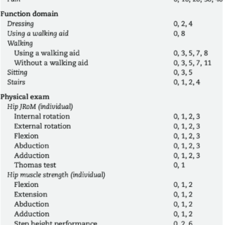 Hip Pain Chart